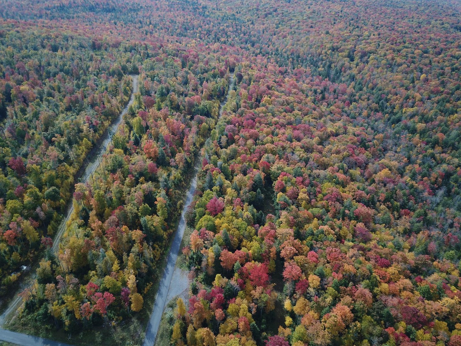 Image for SOLD - 55 Lots in Tuscan Ridge Sold to the Highest Bidders