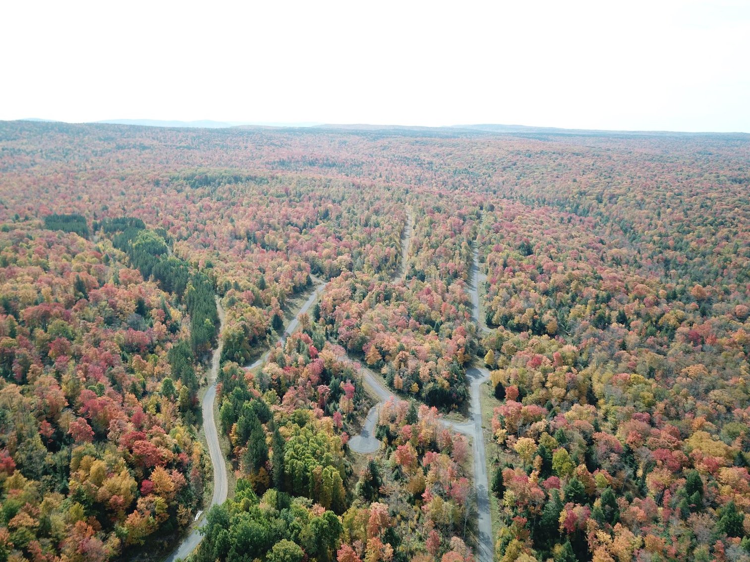 Image for SOLD - 55 Lots in Tuscan Ridge Sold to the Highest Bidders