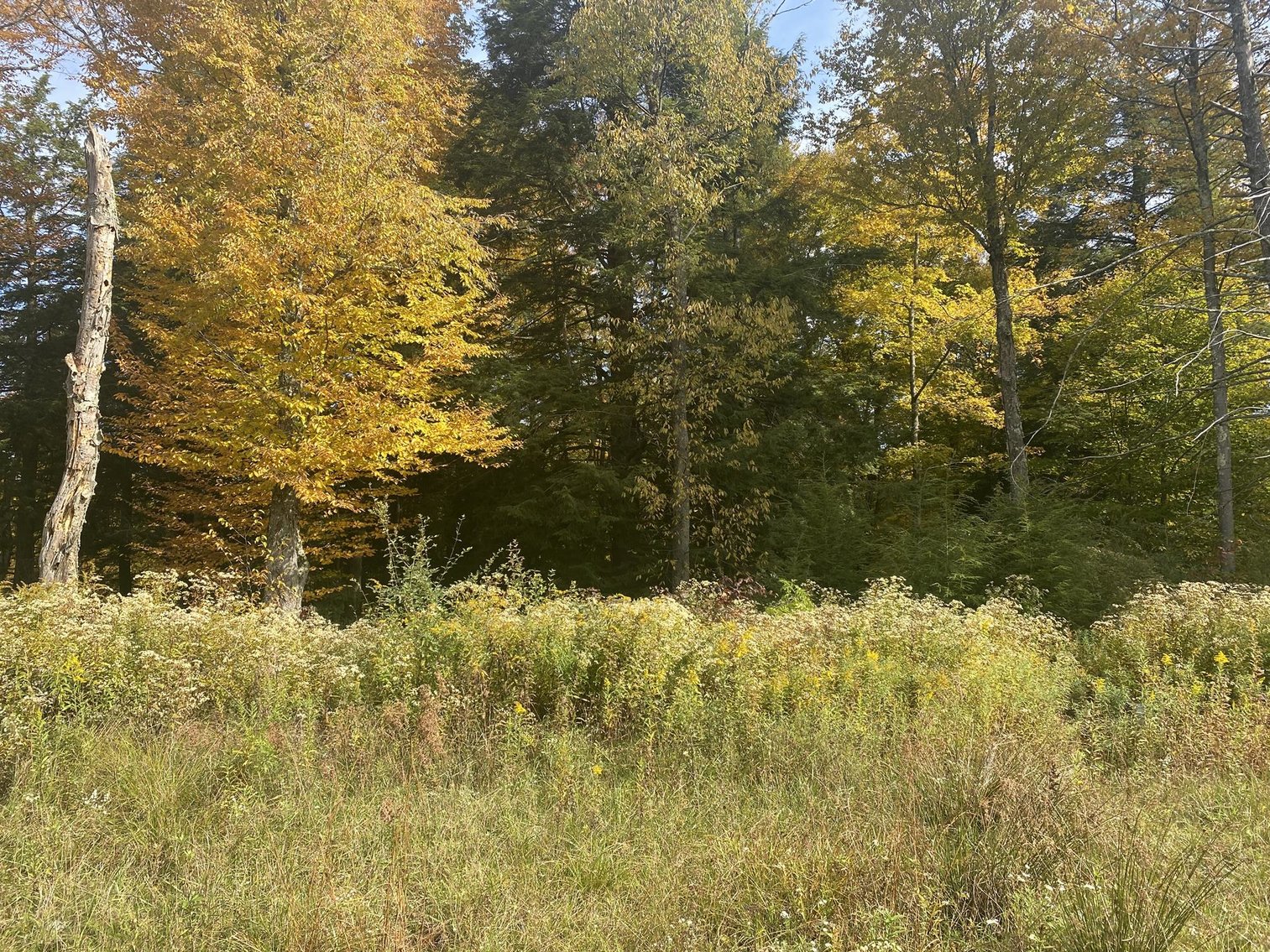 Image for SOLD - 55 Lots in Tuscan Ridge Sold to the Highest Bidders