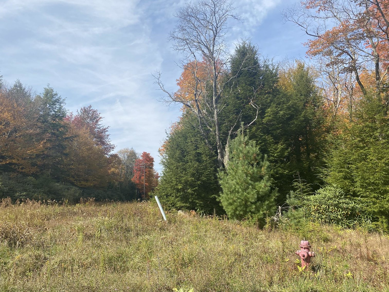 Image for SOLD - 55 Lots in Tuscan Ridge Sold to the Highest Bidders