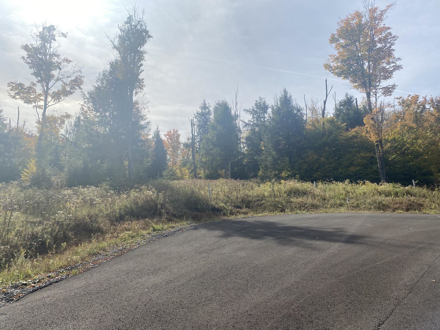 Image for SOLD - 55 Lots in Tuscan Ridge Sold to the Highest Bidders