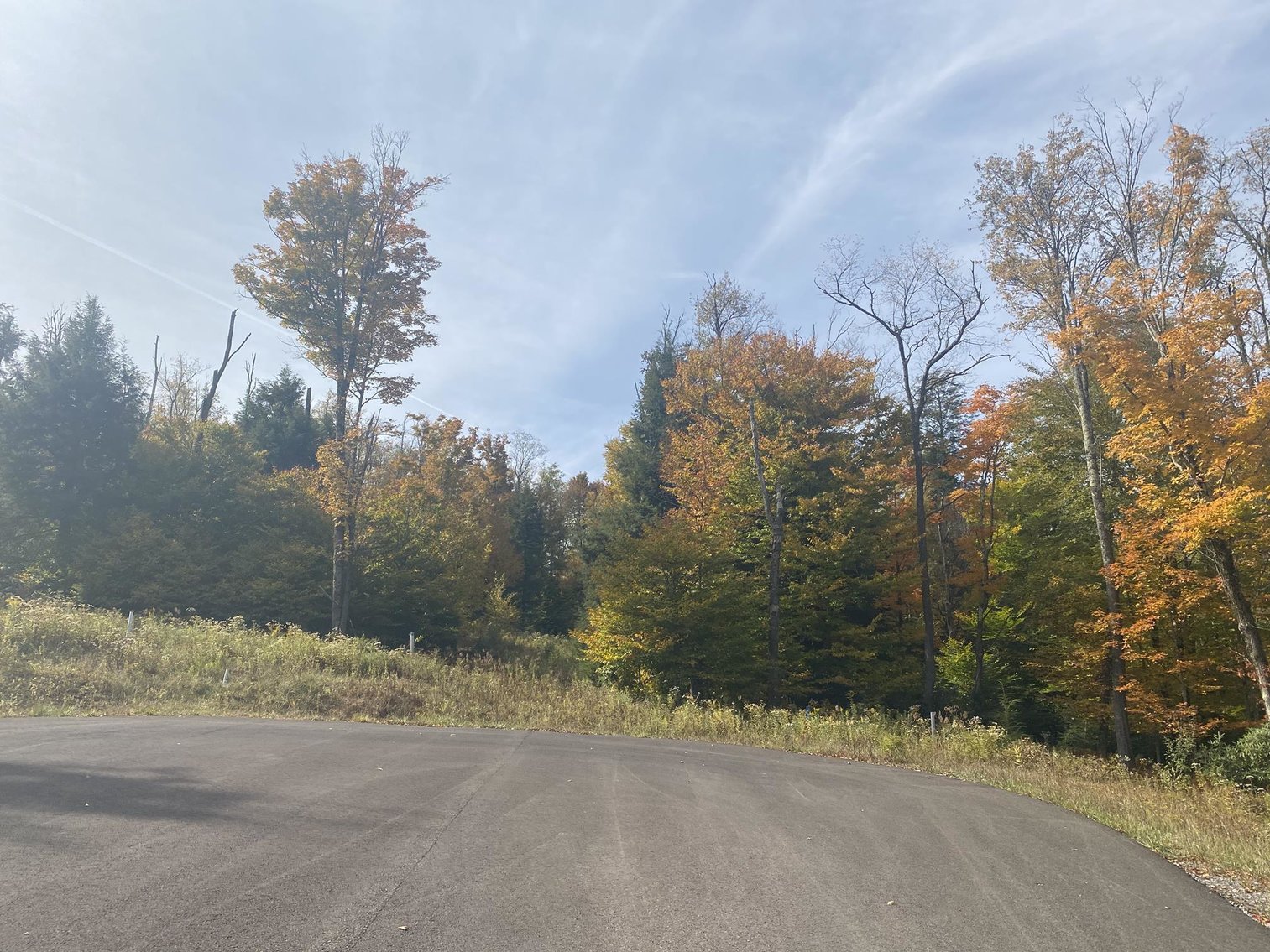 Image for SOLD - 55 Lots in Tuscan Ridge Sold to the Highest Bidders