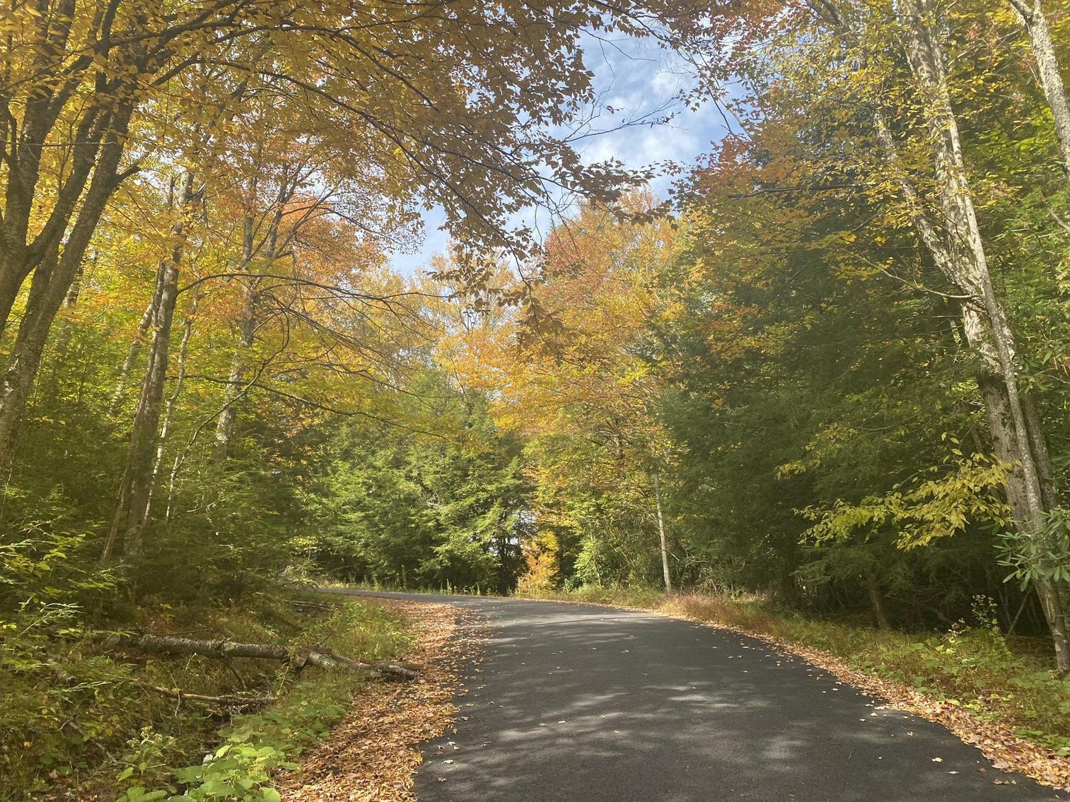 Image for SOLD - 55 Lots in Tuscan Ridge Sold to the Highest Bidders