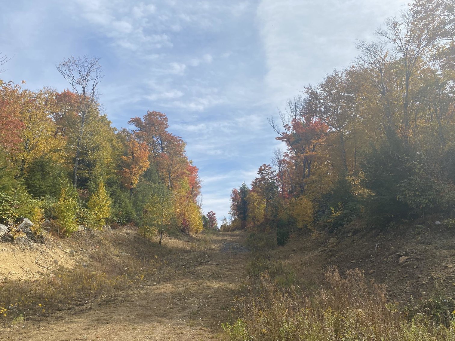 Image for SOLD - 55 Lots in Tuscan Ridge Sold to the Highest Bidders