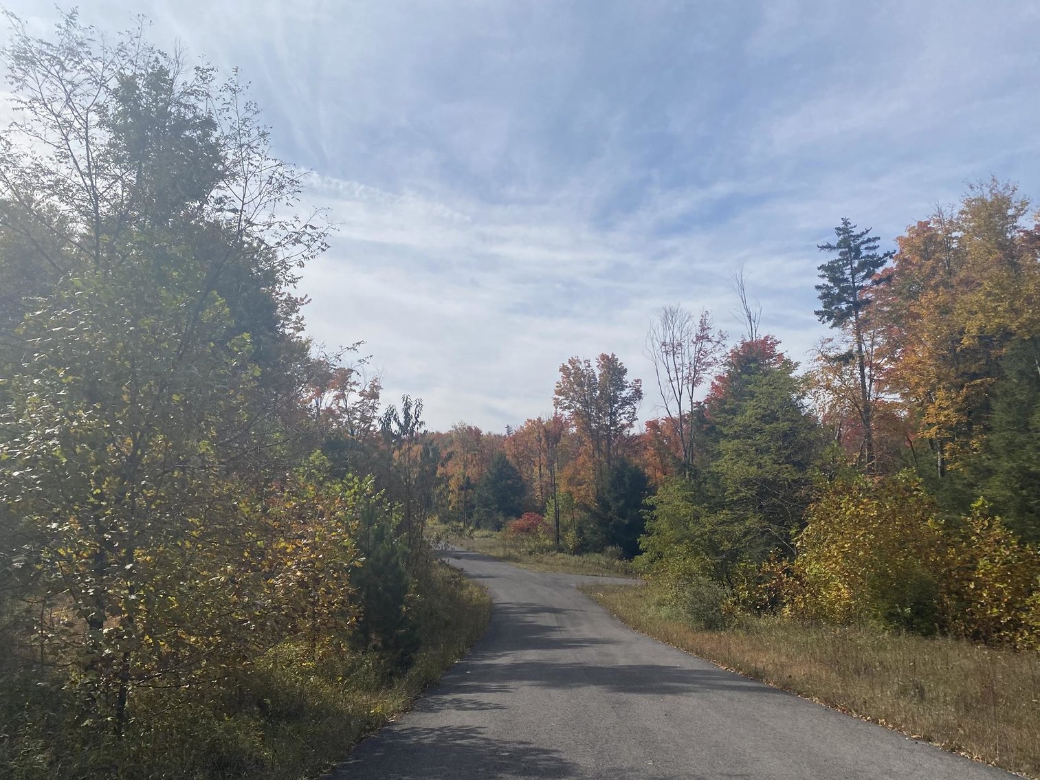 Image for SOLD - 55 Lots in Tuscan Ridge Sold to the Highest Bidders