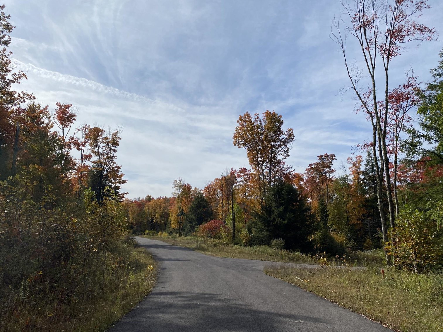 Image for SOLD - 55 Lots in Tuscan Ridge Sold to the Highest Bidders