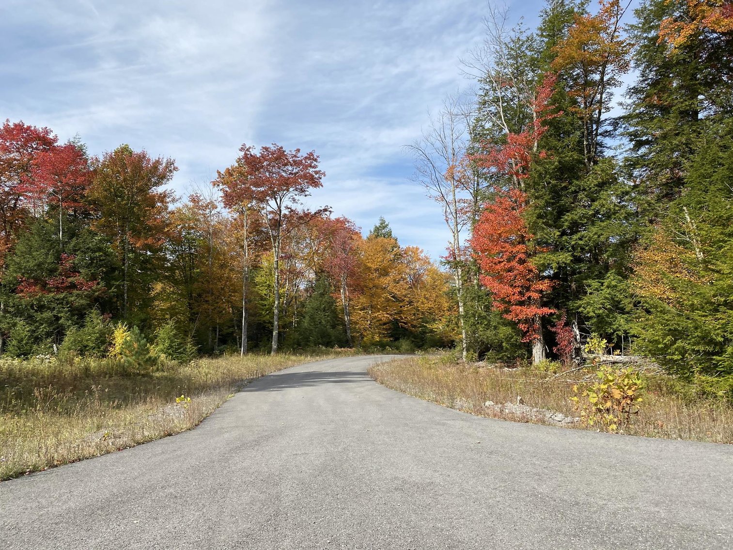 Image for SOLD - 55 Lots in Tuscan Ridge Sold to the Highest Bidders