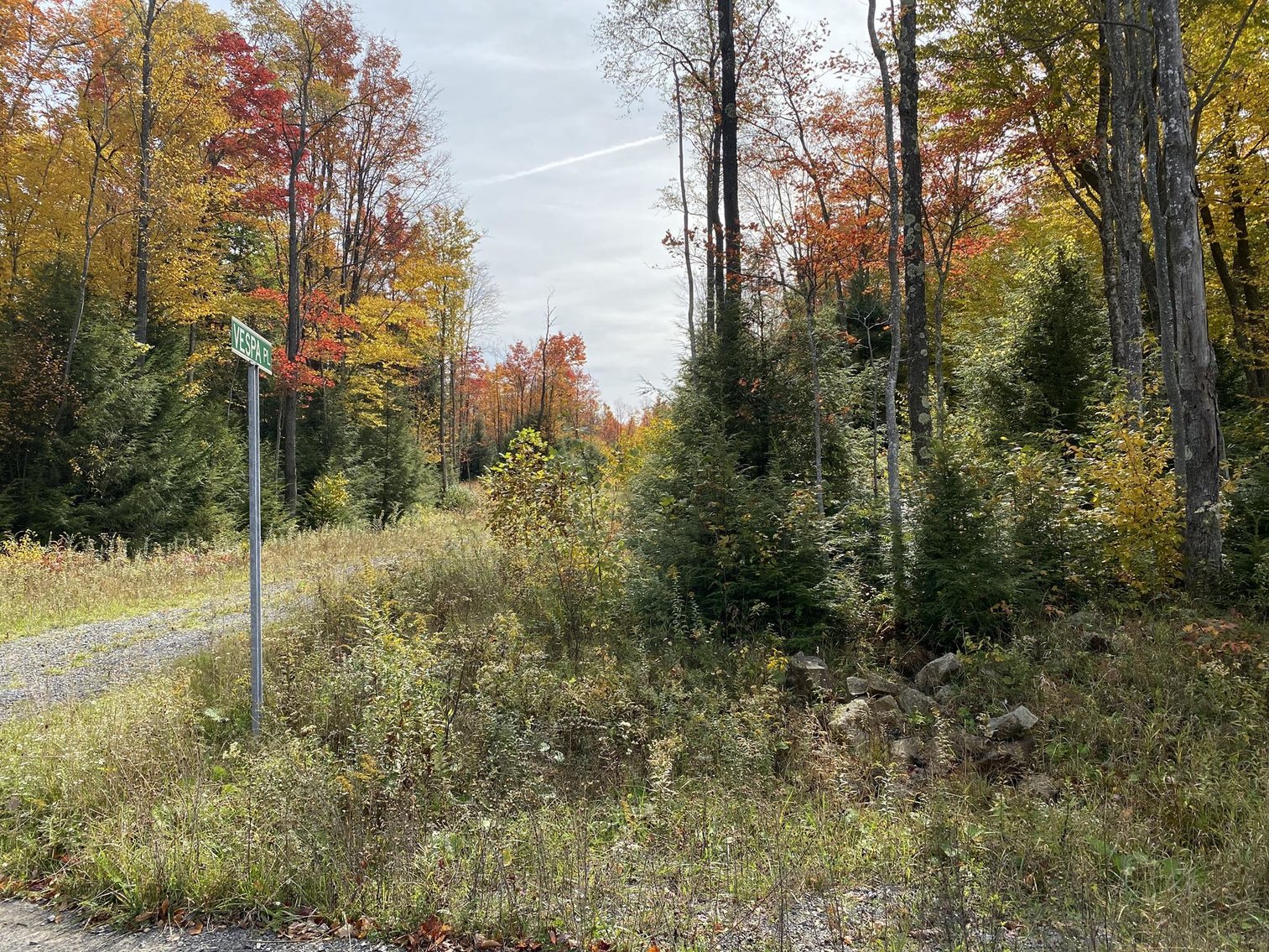 Image for SOLD - 55 Lots in Tuscan Ridge Sold to the Highest Bidders