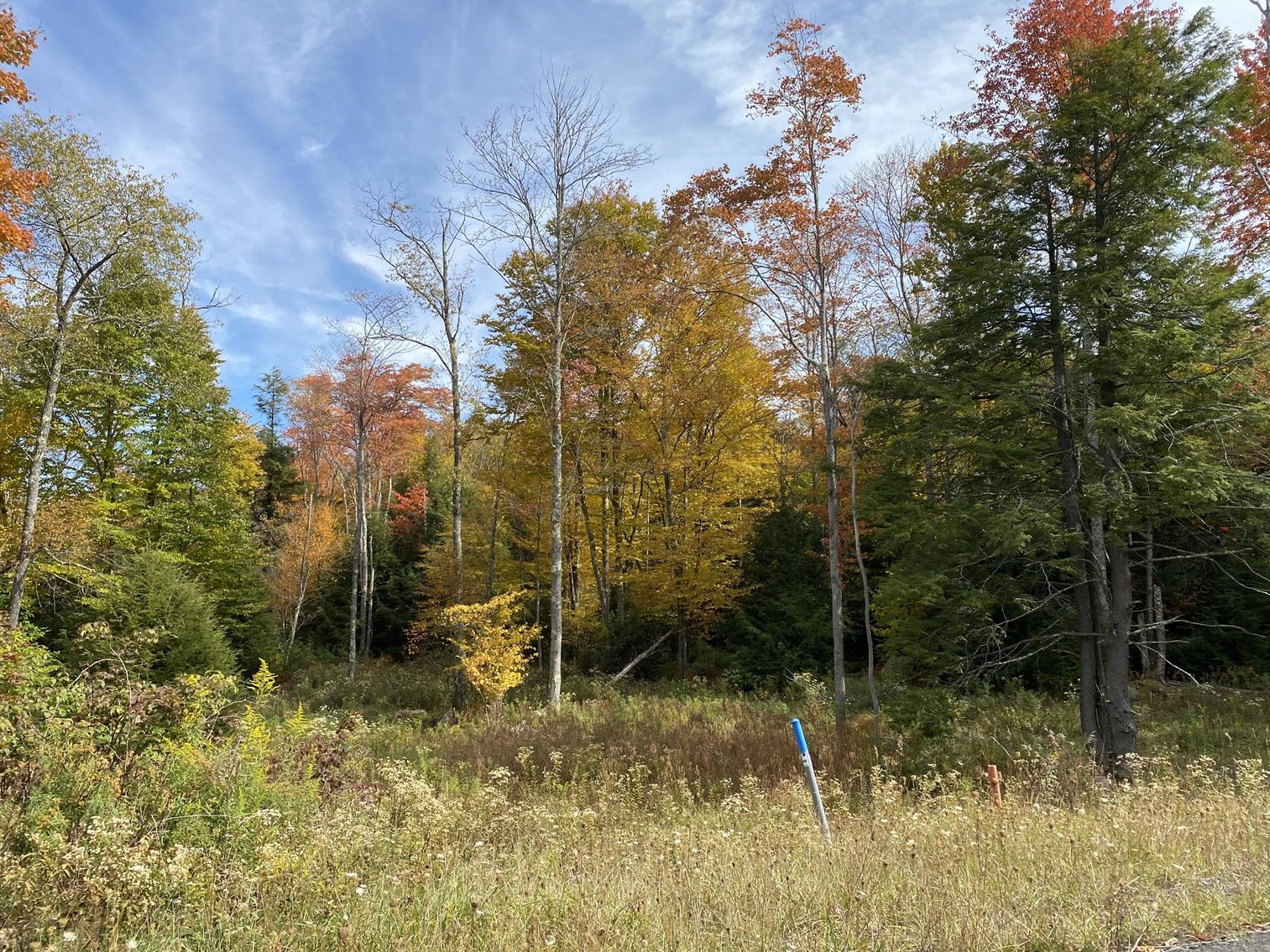 Image for SOLD - 55 Lots in Tuscan Ridge Sold to the Highest Bidders