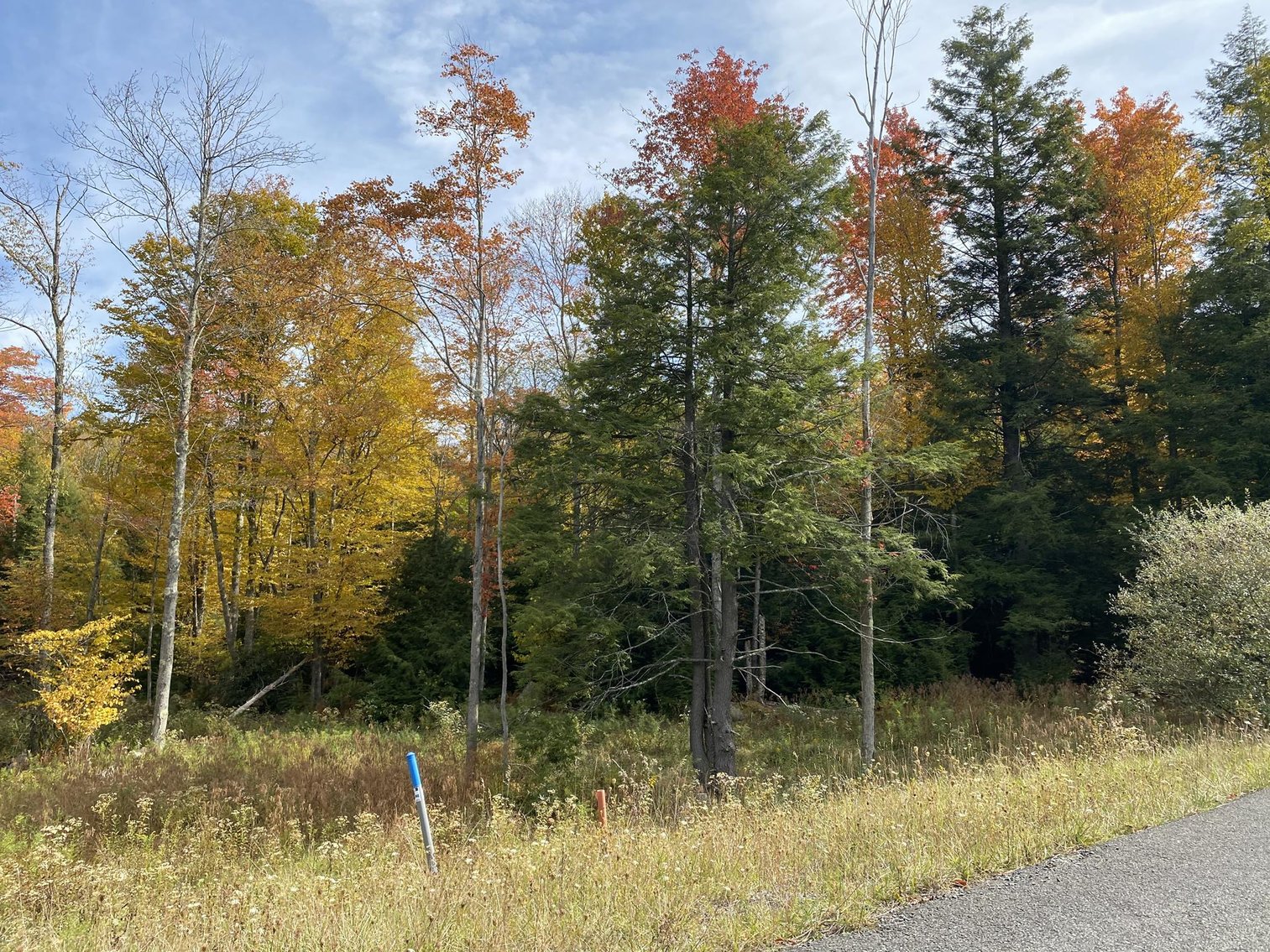 Image for SOLD - 55 Lots in Tuscan Ridge Sold to the Highest Bidders