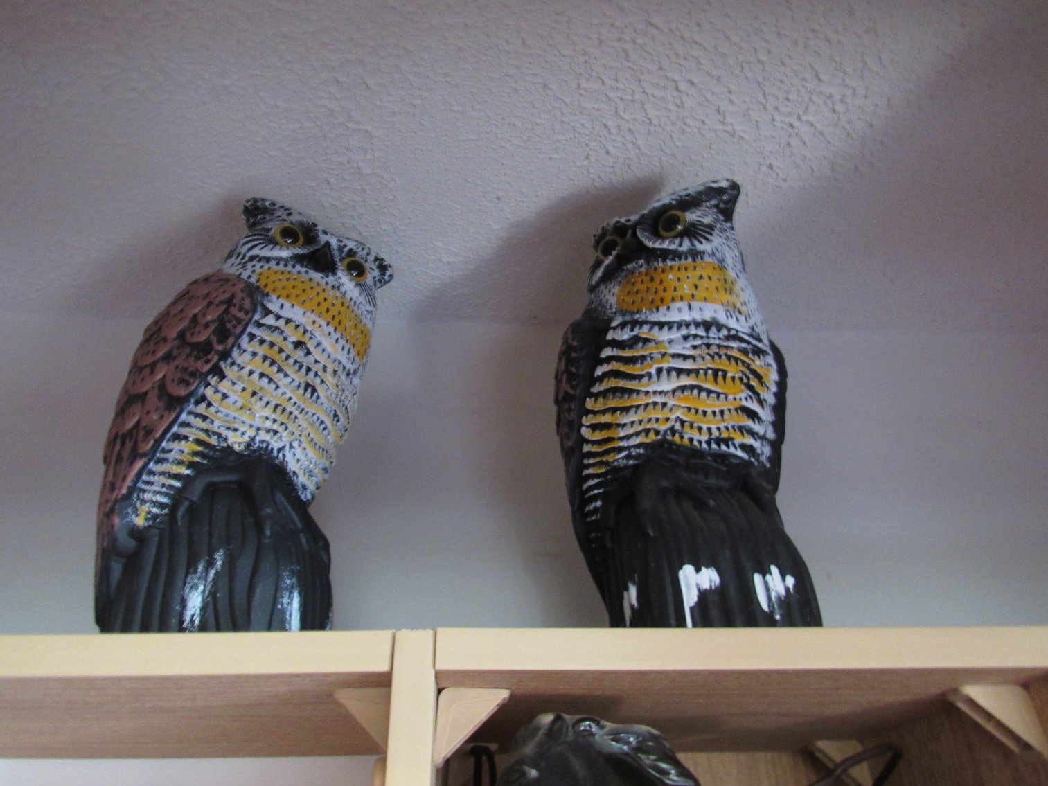 Image for Motorcycles, Outdoor Items, Tools, Furniture, & more