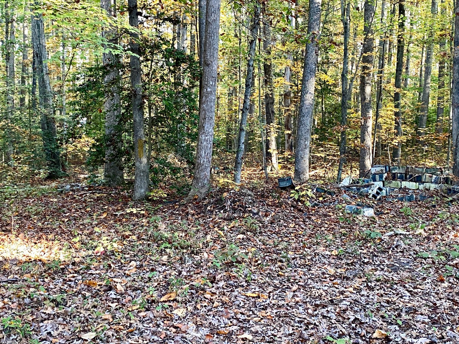 Image for 55.16 +/- Acres of Desirable Land Fronting Smith Station Rd. w/3 BR Home & Outbuildings in Spotsylvania County, VA--SELLING to the HIGHEST BIDDER!!