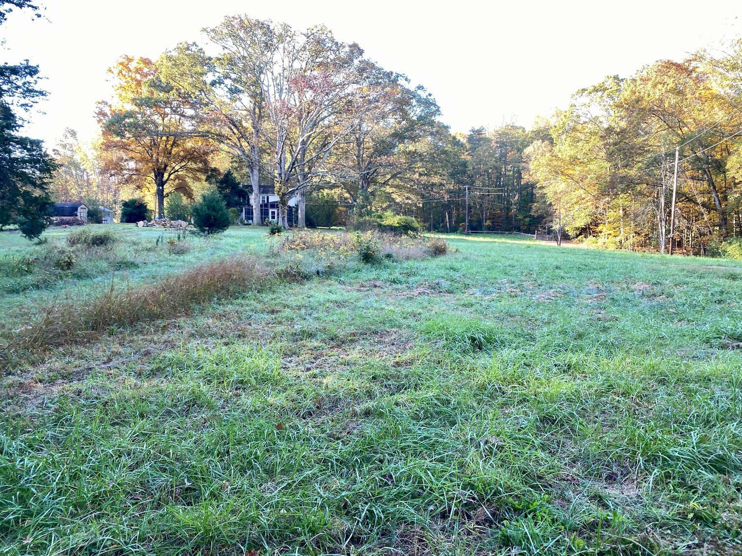 Image for 55.16 +/- Acres of Desirable Land Fronting Smith Station Rd. w/3 BR Home & Outbuildings in Spotsylvania County, VA--SELLING to the HIGHEST BIDDER!!