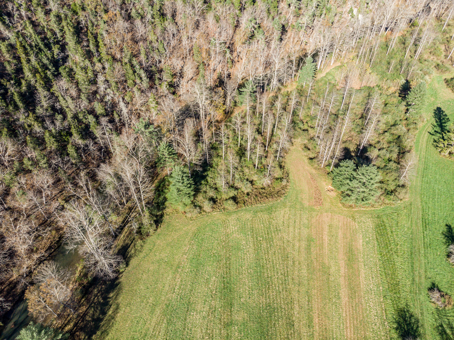 Image for RIVERFRONT LAND: 193.9± Acres (Rockbridge County, VA) $449,900