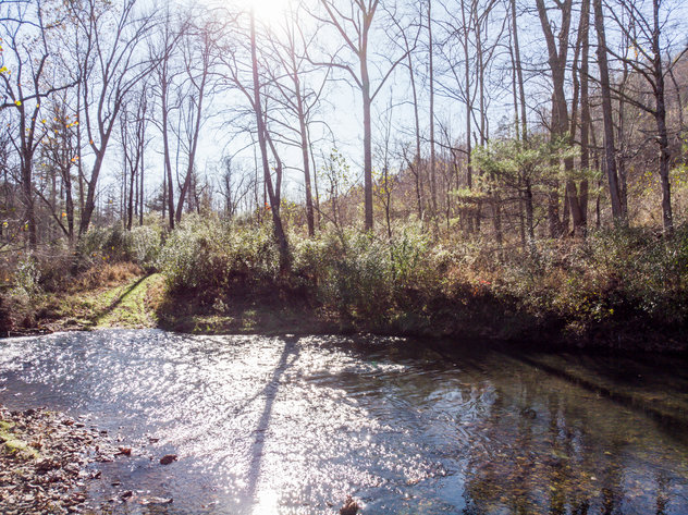 Image for RIVERFRONT LAND: 193.9± Acres (Rockbridge County, VA) $449,900