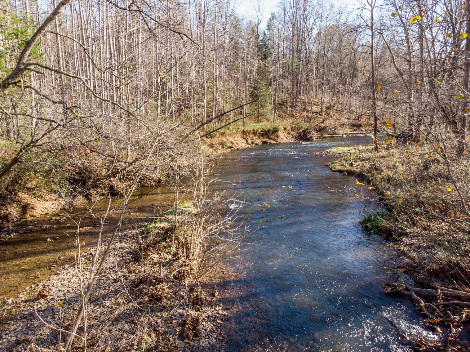 Image for RIVERFRONT LAND: 193.9± Acres (Rockbridge County, VA) $449,900