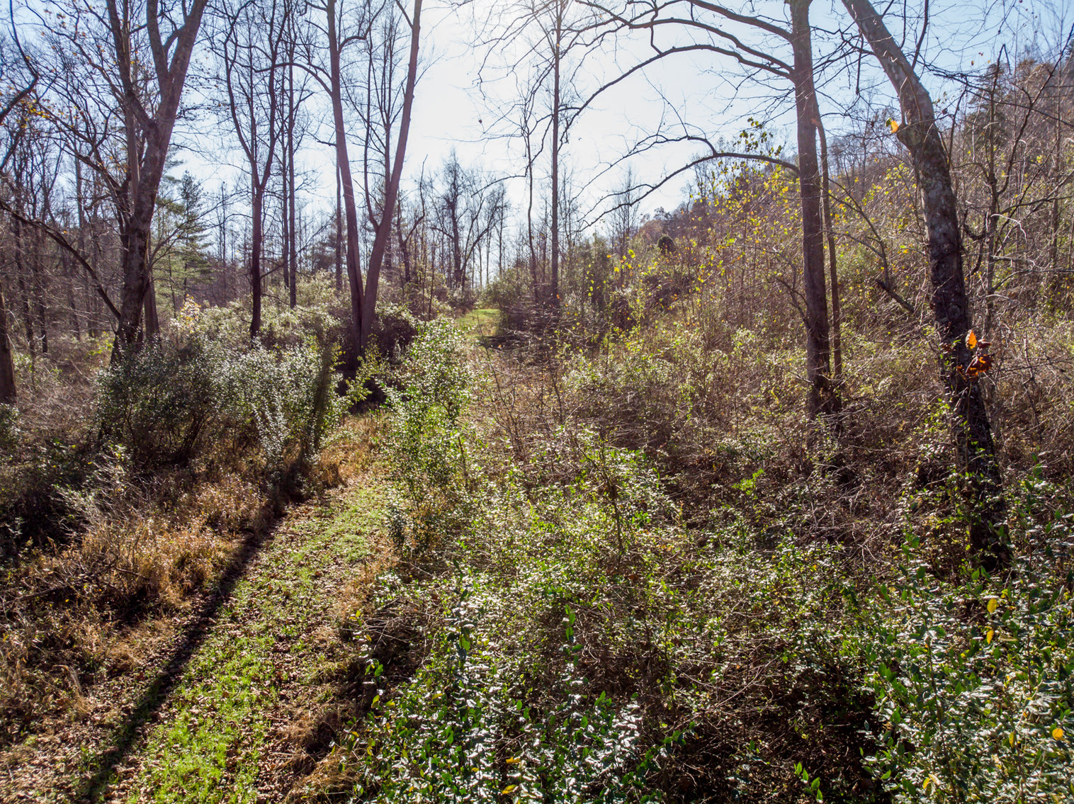 Image for RIVERFRONT LAND: 193.9± Acres (Rockbridge County, VA) $449,900