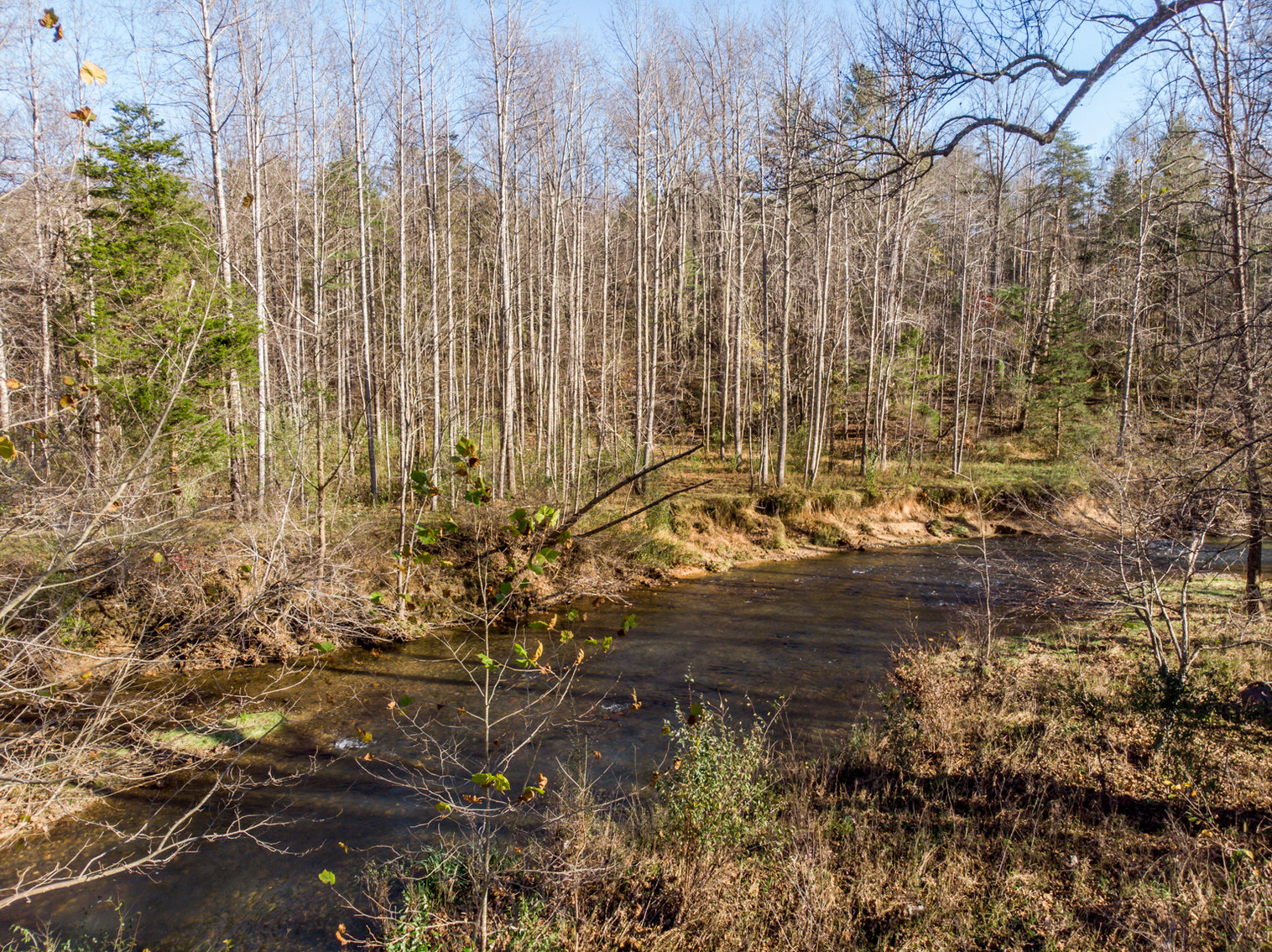 Image for RIVERFRONT LAND: 193.9± Acres (Rockbridge County, VA) $449,900