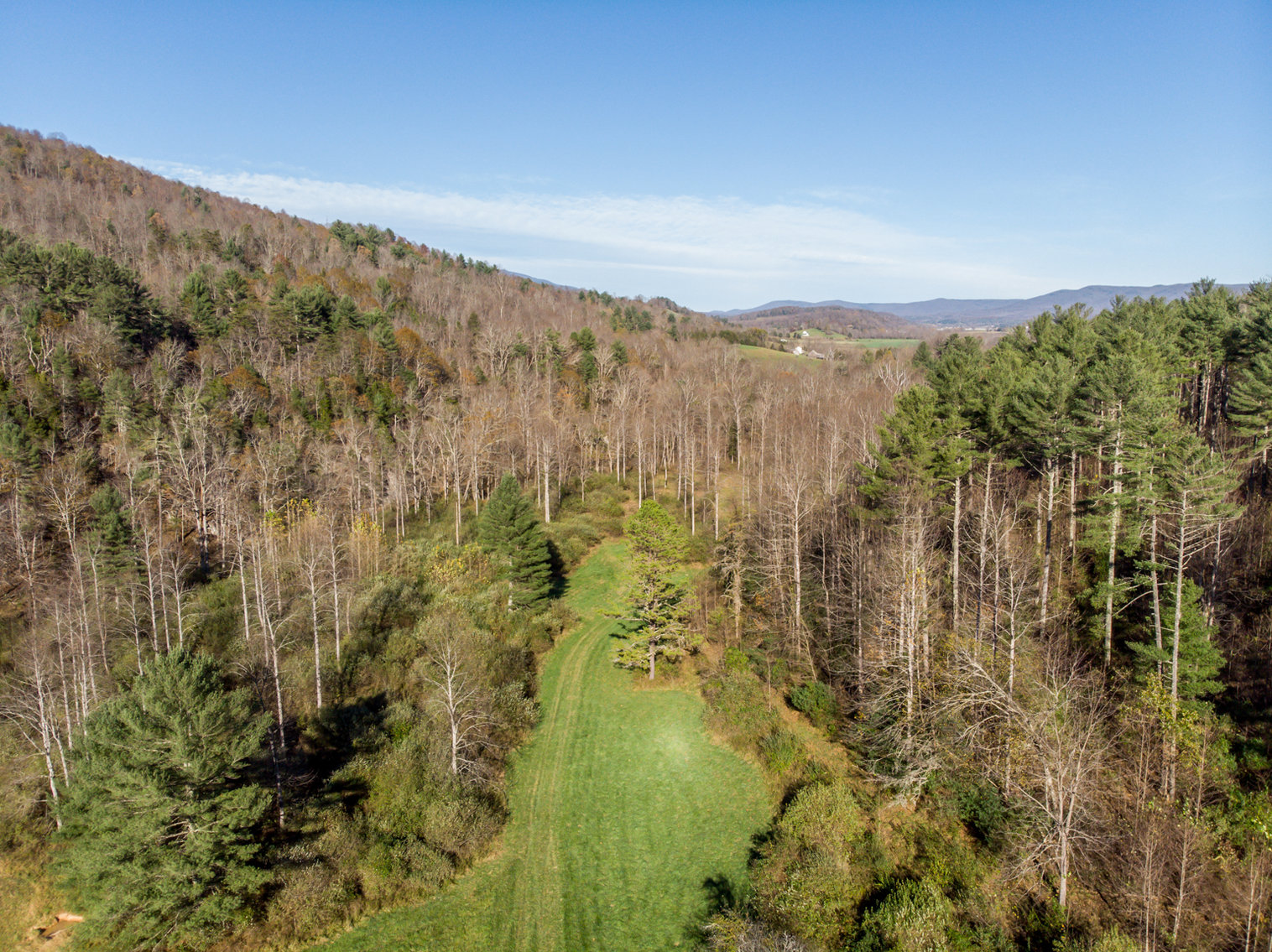Image for RIVERFRONT LAND: 193.9± Acres (Rockbridge County, VA) $449,900