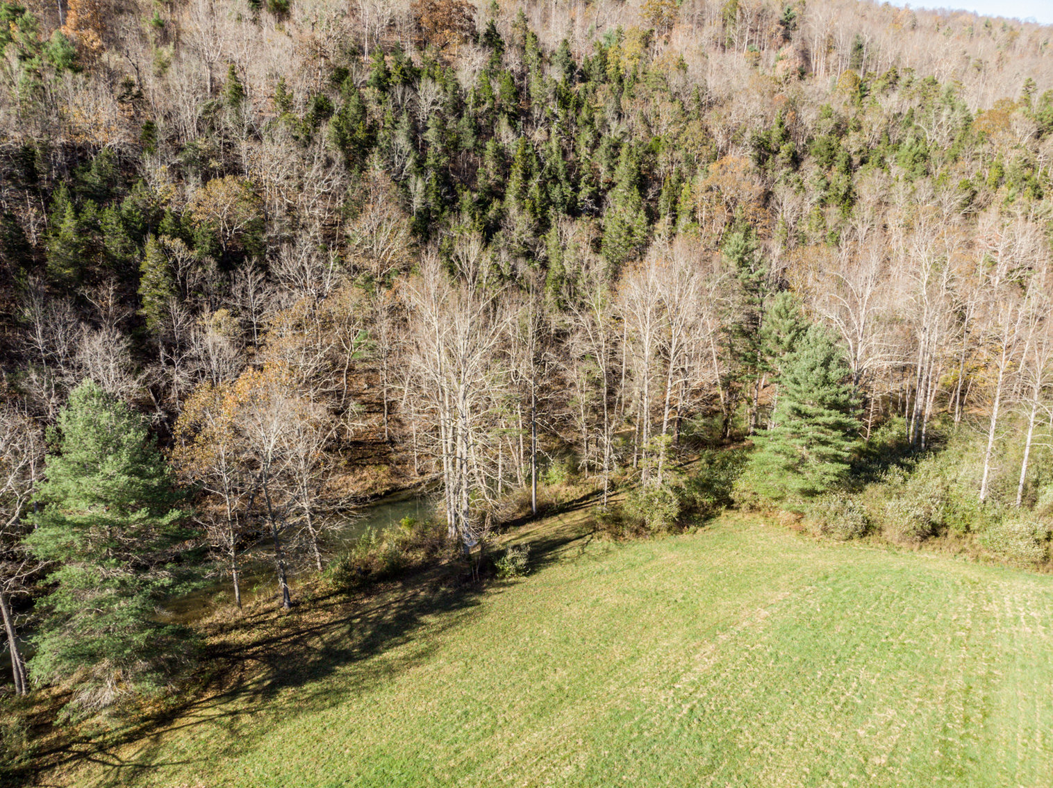 Image for RIVERFRONT LAND: 193.9± Acres (Rockbridge County, VA) $449,900