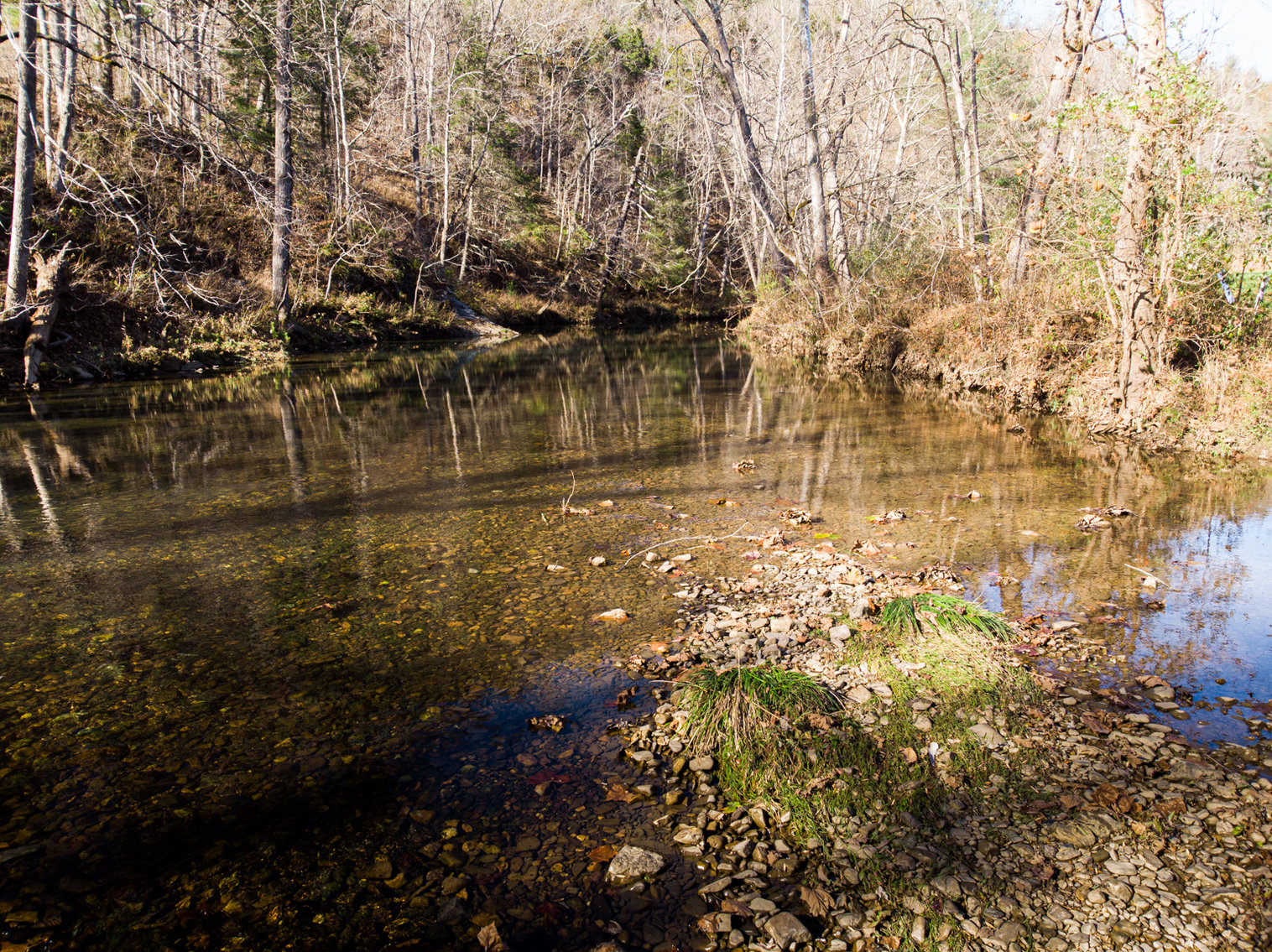 Image for RIVERFRONT LAND: 193.9± Acres (Rockbridge County, VA) $449,900