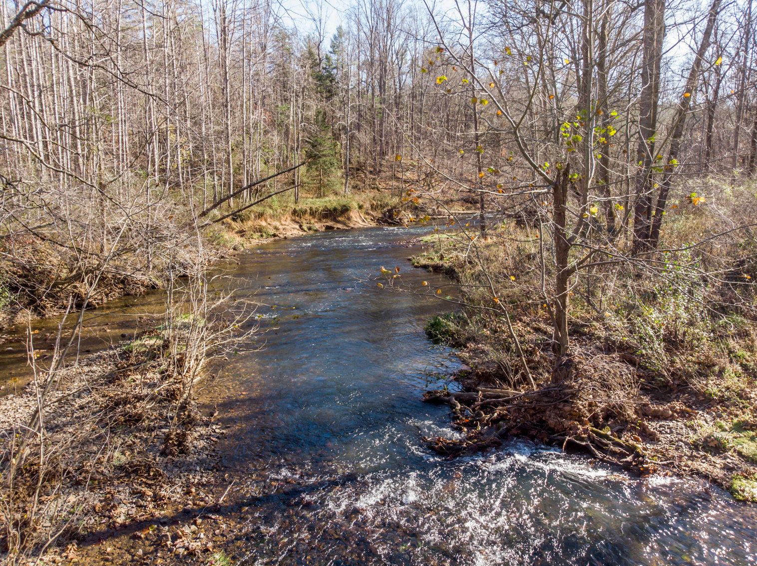 Image for RIVERFRONT LAND: 193.9± Acres (Rockbridge County, VA) $449,900