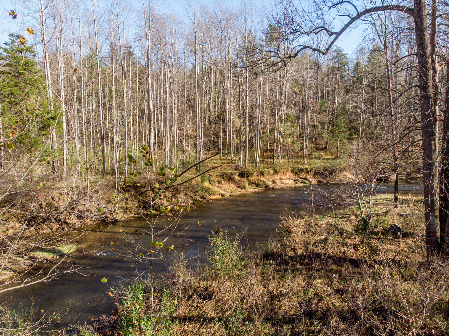 Image for RIVERFRONT LAND: 193.9± Acres (Rockbridge County, VA) $449,900