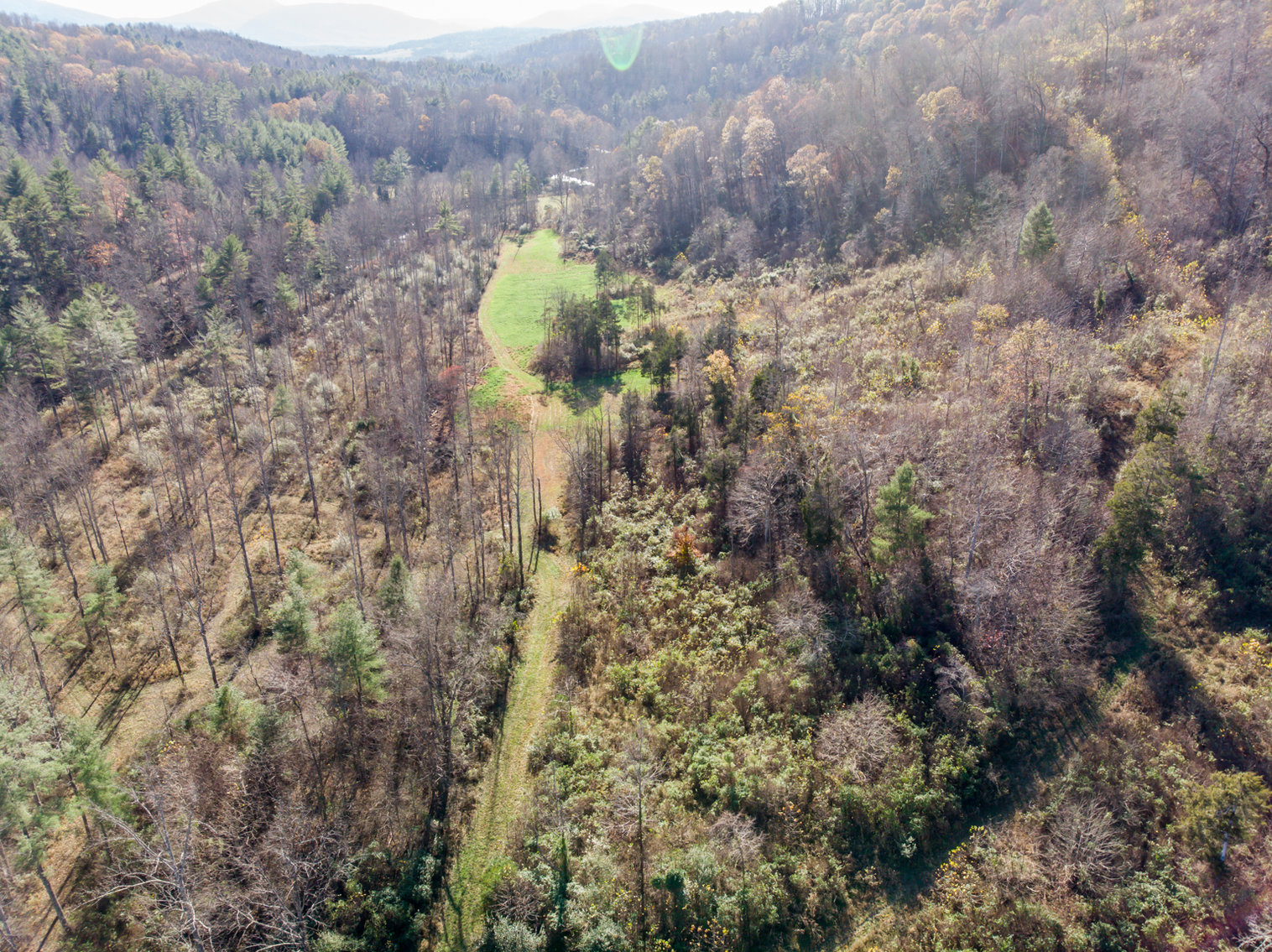 Image for RIVERFRONT LAND: 193.9± Acres (Rockbridge County, VA) $449,900