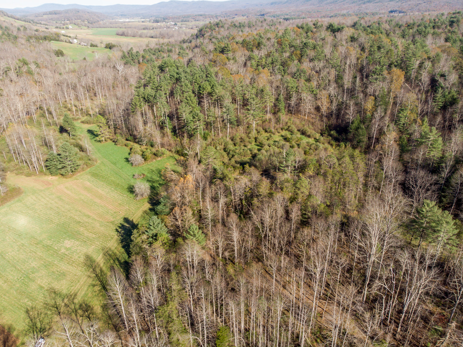 Image for RIVERFRONT LAND: 193.9± Acres (Rockbridge County, VA) $449,900