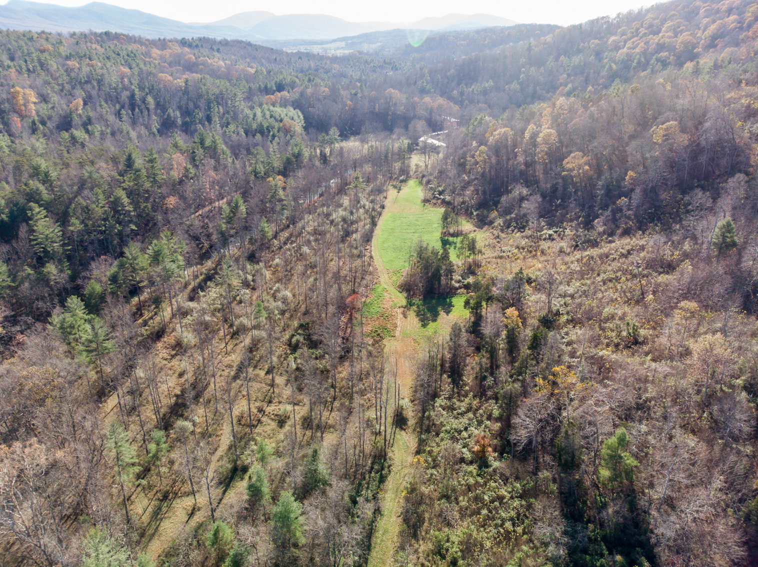 Image for RIVERFRONT LAND: 193.9± Acres (Rockbridge County, VA) $449,900