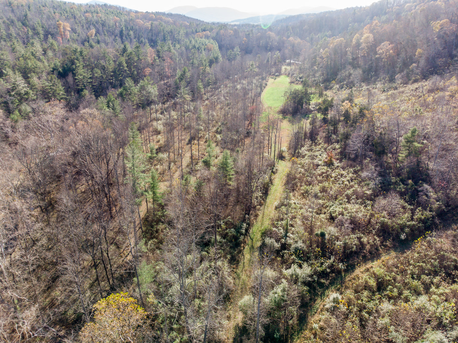 Image for RIVERFRONT LAND: 193.9± Acres (Rockbridge County, VA) $449,900
