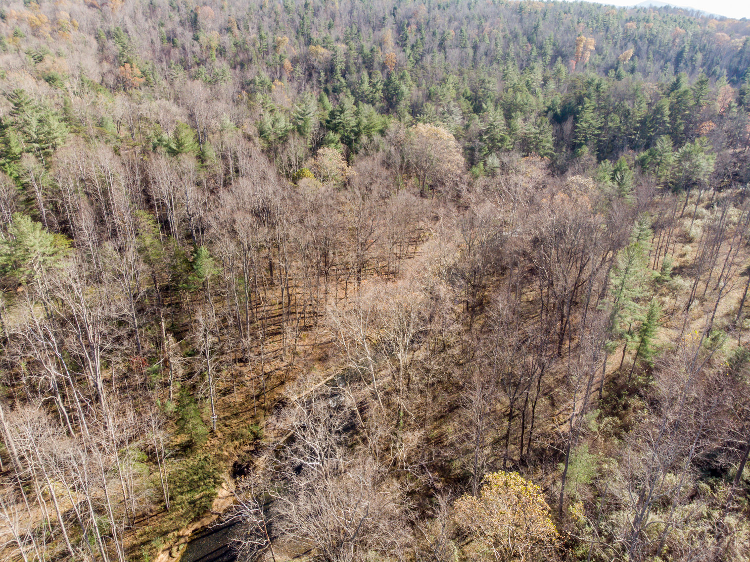 Image for RIVERFRONT LAND: 193.9± Acres (Rockbridge County, VA) $449,900