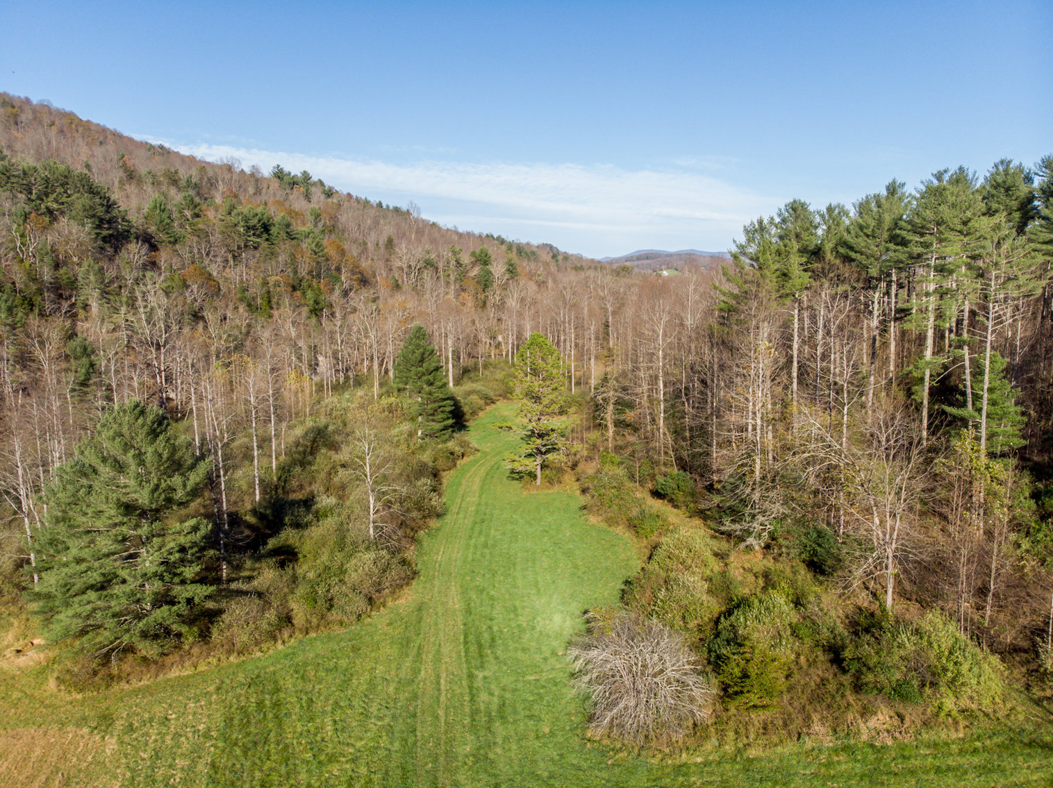 Image for RIVERFRONT LAND: 193.9± Acres (Rockbridge County, VA) $449,900