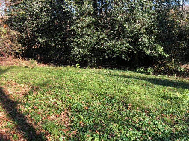 Image for N. Davidson Home with Extra Lot