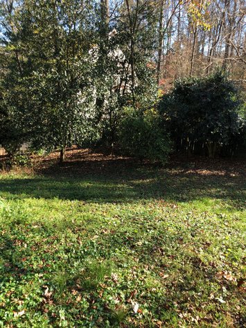 Image for N. Davidson Home with Extra Lot