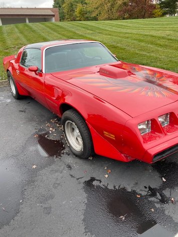 Image for 1979 Pontiac TRANS AM Firebird