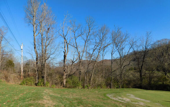 Image for 3329 AVOCA ROAD BRISTOL, TN  37620 930 FT. ROAD FRONTAGE +/- 5.1 ACRES +/-