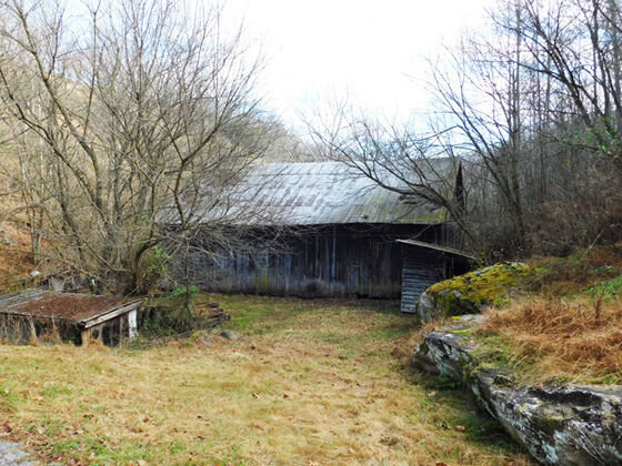 Image for 52.25 ACRES +/-  14249 PERCHERON ROAD  BRISTOL, VA