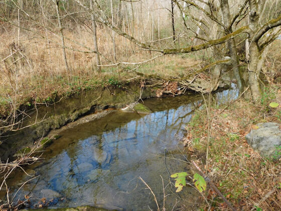 Image for 52.25 ACRES +/-  14249 PERCHERON ROAD  BRISTOL, VA