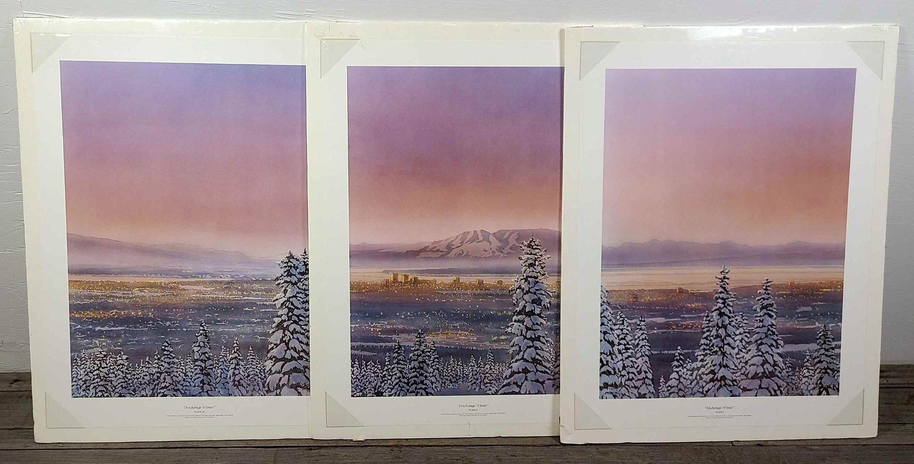 Image for MSSD 2.0 Online Art Auction Fundraiser