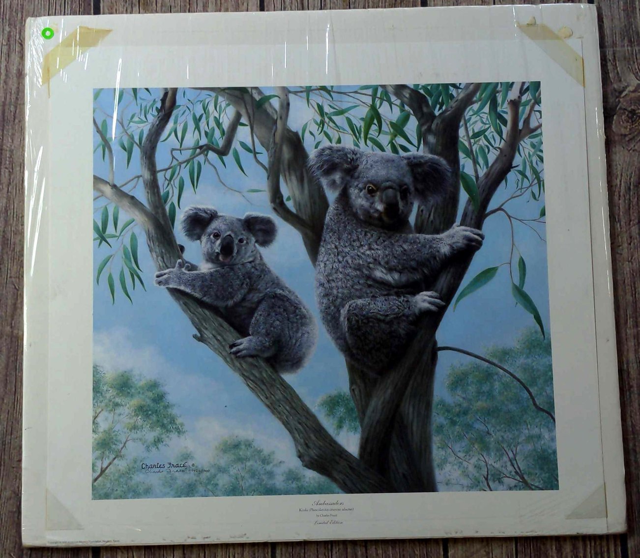 Image for MSSD 2.0 Online Art Auction Fundraiser