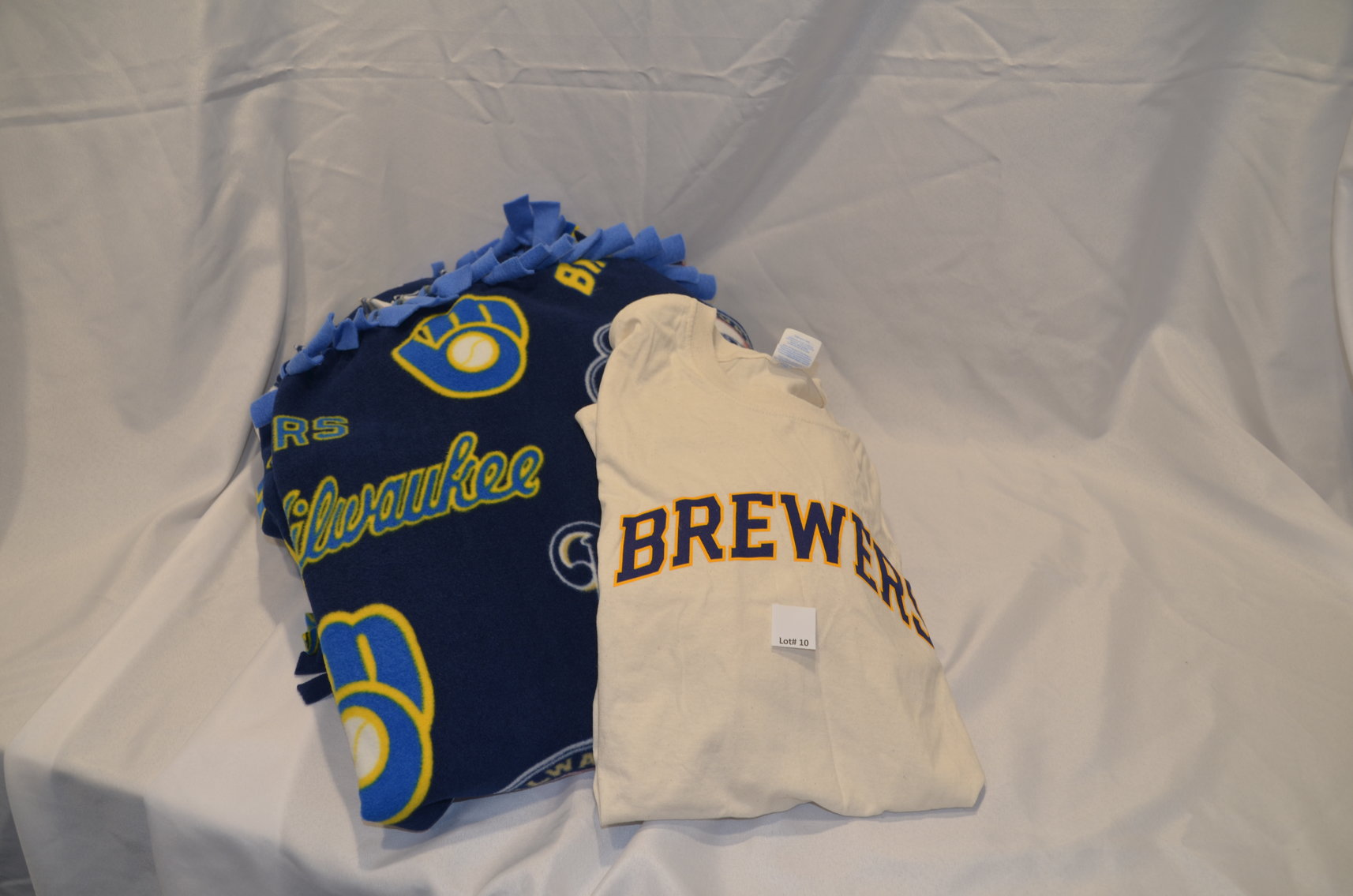 Image for 4-H Fundraising Auction