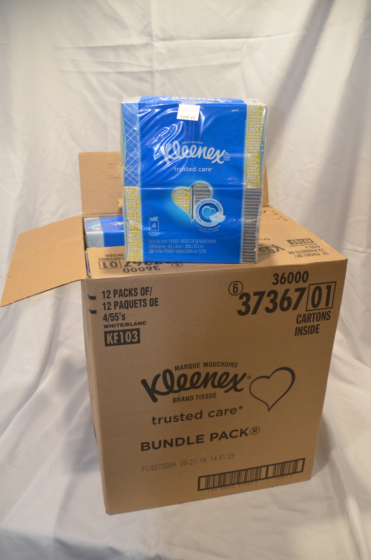 Image for 4-H Fundraising Auction