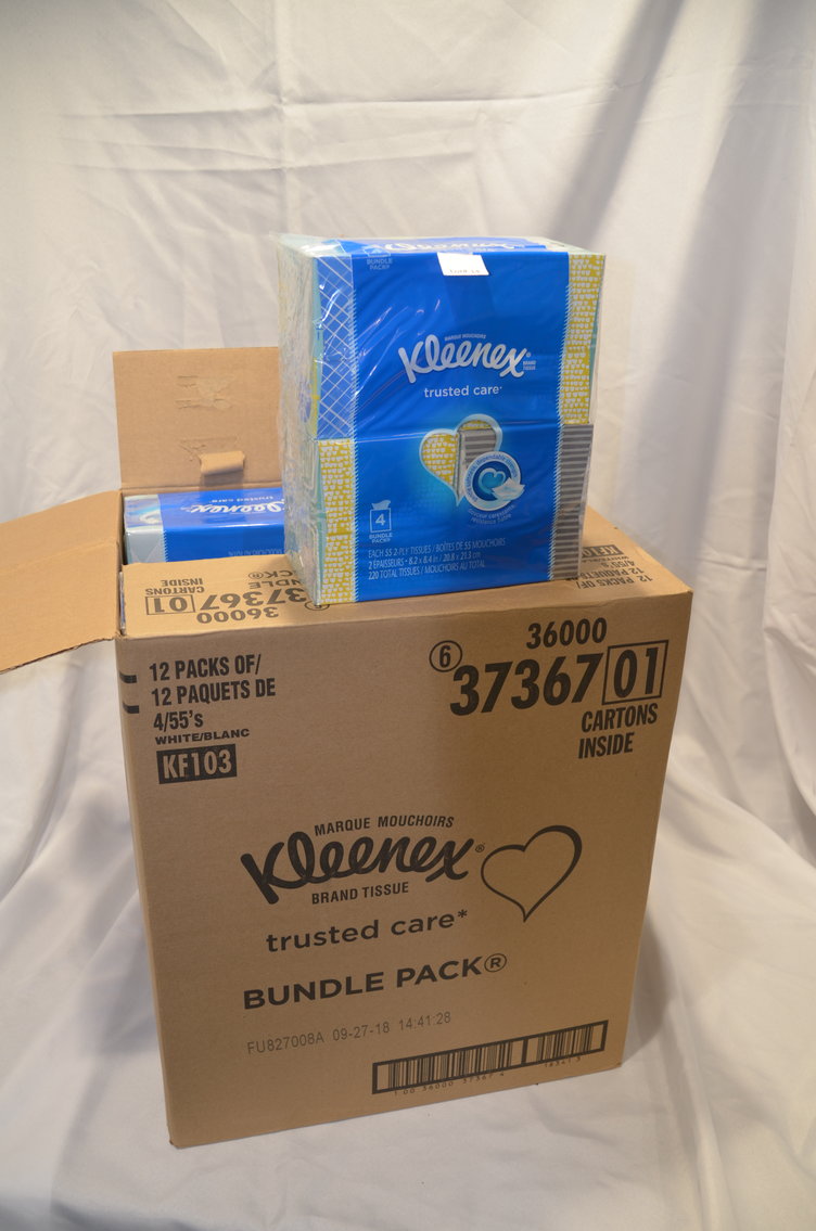 Image for 4-H Fundraising Auction