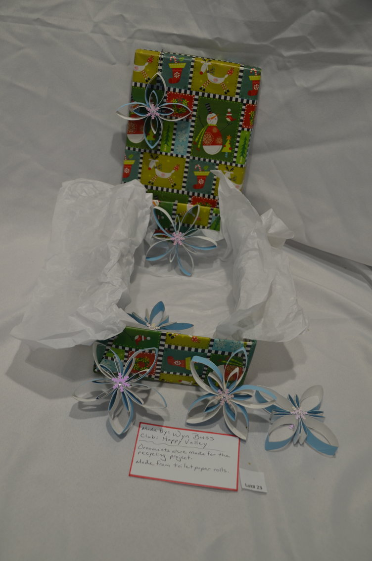 Image for 4-H Fundraising Auction