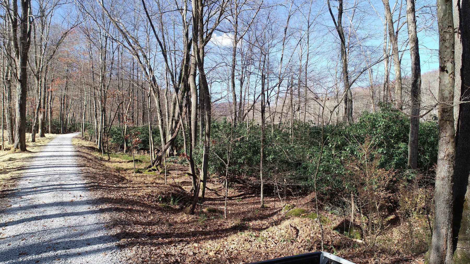 56 Acres with Tygart River Frontage