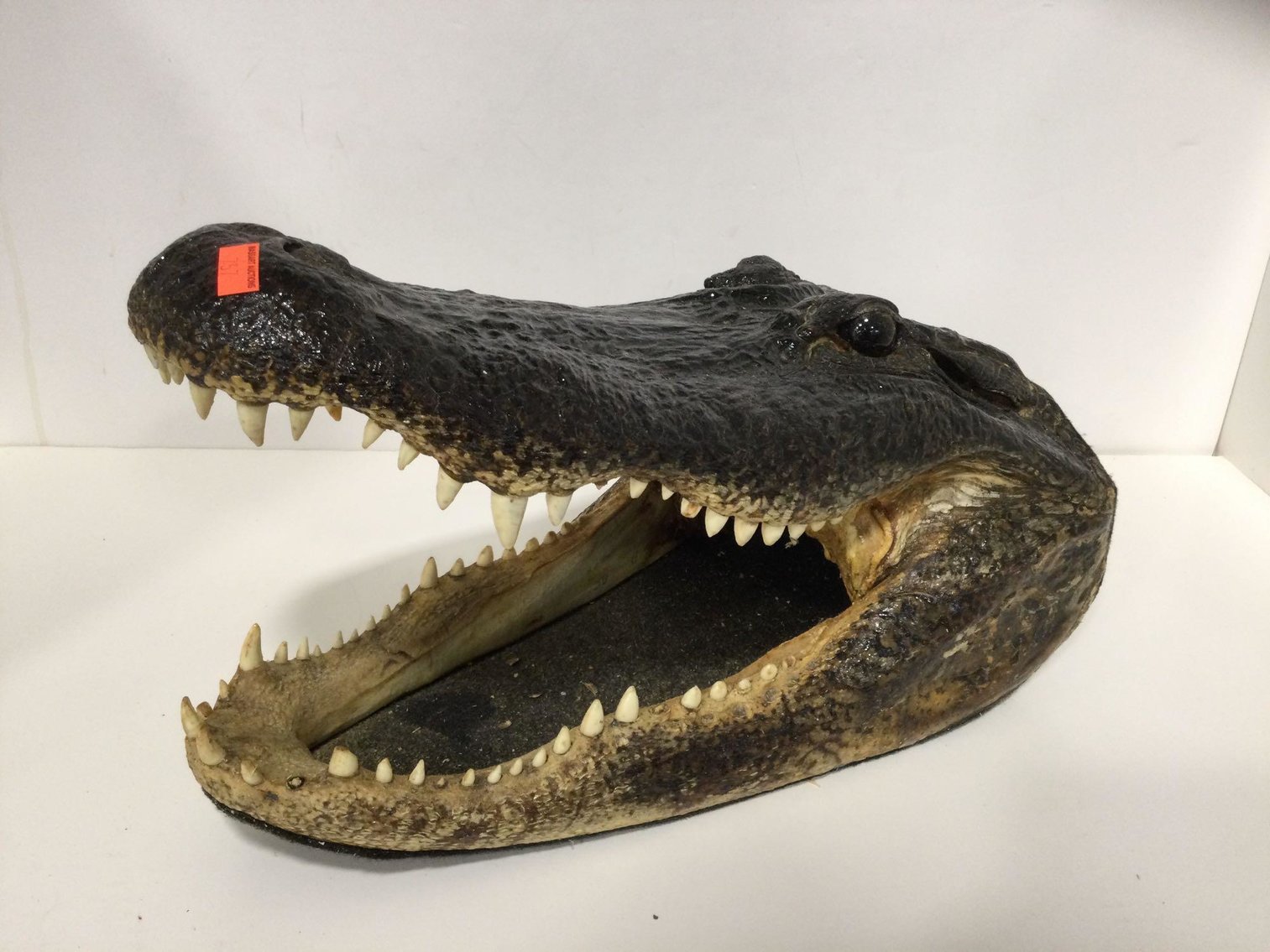 Image for Household, Collectibles, Furniture - New Building North