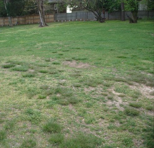 Image for Northern Virginia Residential Building Lot – Fairfax County - 6313 Old Dominion Dr., McLean, VA 22101