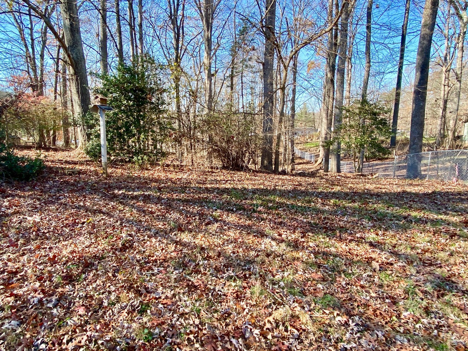 Image for 3 BR/3 BA Brick Home w/Walk-Out Basement on 1.6 +/- Acres in Charlottesville, VA--SELLING to the HIGHEST BIDDER!!