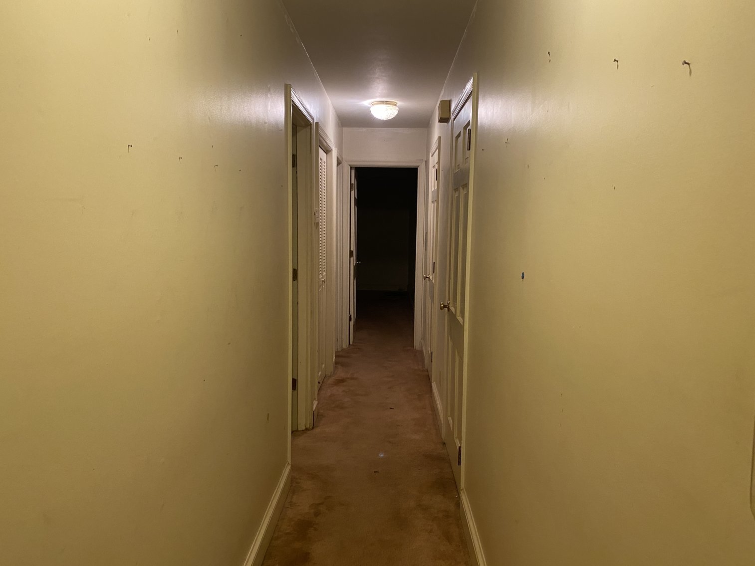 Image for 3 BR/3 BA Brick Home w/Walk-Out Basement on 1.6 +/- Acres in Charlottesville, VA--SELLING to the HIGHEST BIDDER!!